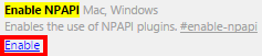 enableNPAPI